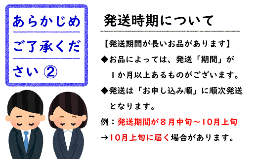 【令和6年産先行予約】 《定期便6回》 フルーツ満喫定期便A 『フードシステムズ』 山形県 南陽市 [1138-R6]