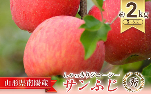 【令和6年産先行予約】 JA りんご 「サンふじ」 約2kg (5～8玉 秀) 《令和6年11月中旬～12月中旬発送》 『JA山形おきたま』 山形県 南陽市 [1160]