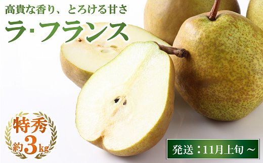 【令和6年産先行予約】 JA ラ・フランス 約3kg (8～10玉 特秀) 《令和6年11月上旬～12月上旬発送》 『JA山形おきたま』 山形県 南陽市 [1177]