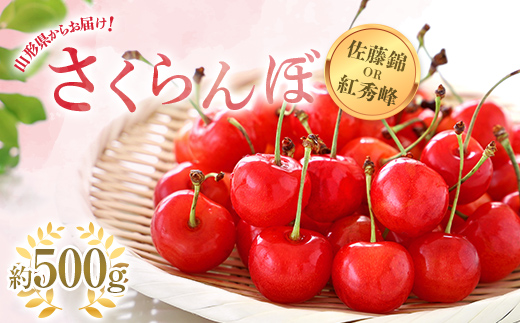 【令和6年産先行予約】 さくらんぼ 「佐藤錦または紅秀峰」 約500g (秀 L以上) バラ詰め《令和6年6月中旬～発送》 『南陽中央青果市場』 山形県 南陽市 [1203]