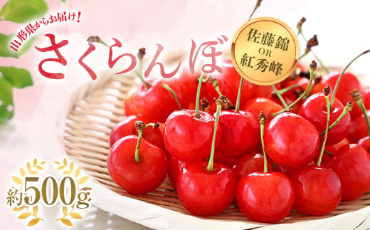 【令和7年産先行予約】 さくらんぼ 「佐藤錦または紅秀峰」 約500g (秀 L以上) バラ詰め 《令和7年6月上旬～発送》 『南陽中央青果市場』 サクランボ 果物 フルーツ 山形県 南陽市 [1203]