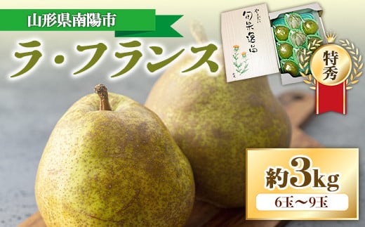 【令和6年産先行予約】ラ・フランス 約3kg (6～9玉 特秀)  《令和6年11月上旬～発送》 『長谷部農園』 洋梨 梨 果物 フルーツ 山形県 南陽市 [1208]