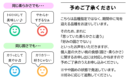 【令和6年産先行予約】 白桃 約2kg (5～10玉 秀品) 《令和6年8月上旬～9月下旬発送》 『フードシステムズ』 山形県 南陽市 [1382]