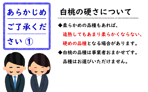 【令和7年産先行予約】 白桃 約2kg (5～10玉 秀) 《令和7年8月上旬～9月下旬発送》 『フードシステムズ』 モモ 果物 フルーツ 山形県 南陽市 [1382]