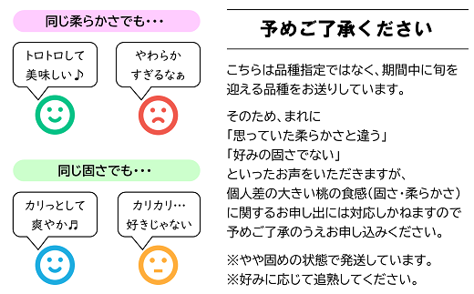 【令和6年産先行予約】 硬めの白桃 約2kg (5～10玉 秀品) 《令和6年8月下旬～10月上旬発送》 『フードシステムズ』 山形県 南陽市 [1383]