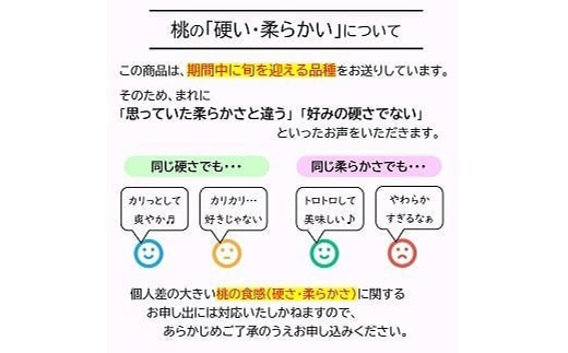 【令和8年産先行予約】 硬めの白桃 約2kg (4～10玉 秀) 《令和8年8月下旬～10月上旬発送》 『フードシステムズ』 モモ 果物 フルーツ 山形県 南陽市 [1383]