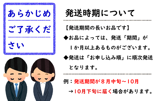 【令和6年産先行予約】 白桃 約3kg (6～15玉 秀品) 《令和6年8月上旬～9月下旬発送》 『フードシステムズ』 山形県 南陽市 [1384]