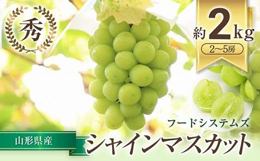 【令和7年産先行予約】 シャインマスカット 約2kg (2～5房 秀) 《令和7年9月下旬～11月中旬発送》 『フードシステムズ』 マスカット 葡萄 ぶどう 種なし 果物 フルーツ デザート 山形県 南陽市 [1388]