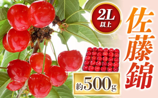 【令和7年産先行予約】 さくらんぼ 「佐藤錦」 約500g (秀 2L以上) パック詰め 《令和7年6月中旬～発送》 『田口農園』 サクランボ 果物 フルーツ 産地直送 山形県 南陽市 [1398]