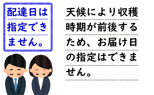 【令和7年産先行予約】 さくらんぼ 「佐藤錦」 約500g (秀 2L以上) パック詰め 《令和7年6月中旬～発送》 『田口農園』 サクランボ 果物 フルーツ 産地直送 山形県 南陽市 [1398]