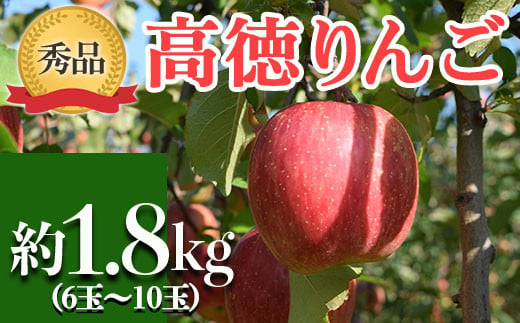 【令和6年産先行予約】 JA りんご 高徳 約1.8kg (6玉～10玉 秀以上) 《令和6年11月上旬～中旬発送》 『JA山形おきたま』 山形県 南陽市 [1409]