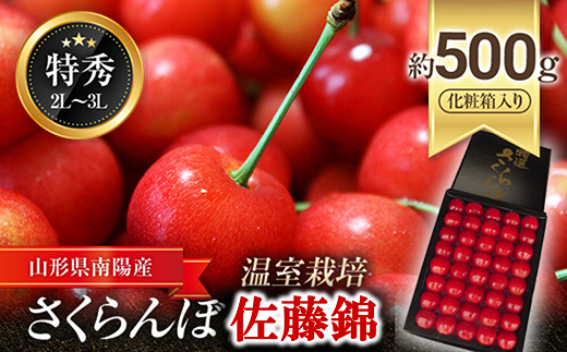 【令和6年産先行予約】 温室さくらんぼ 「佐藤錦」 約500g (特秀 2～3L) 化粧箱入り 《令和6年5月下旬～発送》 『松田観光果樹園』 さくらんぼ サクランボ 生産農家直送 温室栽培 果物 フルーツ デザート 先行予約 予約 山形県 南陽市 [617]