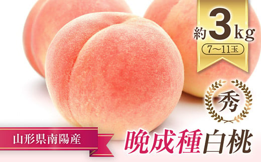 【令和7年産先行予約】晩成のもも「あぶくま・だて白桃・西王母 等」約3kg (7～11玉) 《令和7年9月上旬～発送》 『生産者 佐藤 勇二』 桃 モモ 産地直送 生産農家直送 山形県 南陽市 [967]