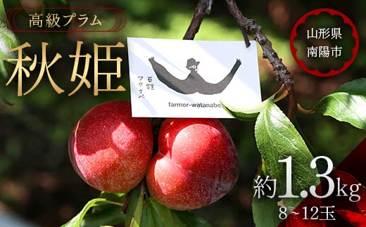 【令和6年産先行予約】 高級プラム 「秋姫」 約1.3kg (8～12玉) 《令和6年9月～発送》『最上園』 山形県 南陽市 [685]