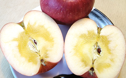 【令和7年産先行予約】 《特選》プレミアム 完熟みつ入りふじりんご 約4.5～5kg (約15玉 サイズおまかせ) 木箱入り 《令和7年12月中旬～発送》 【全国りんご選手権 銀賞】 『船中農園』 山形県 南陽市 [1454]
