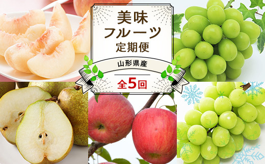 【令和8年産先行予約】 《定期便5回》 JA 夏秋冬美味フルーツ定期便 『JA山形おきたま』 山形県 南陽市 [1491]