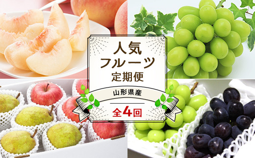 【令和6年産先行予約】 《定期便4回》 JA 夏秋冬人気フルーツ定期便 『JA山形おきたま』 山形県 南陽市 [1492]