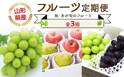 【令和8年産先行予約】 《定期便3回》 JA 秋冬フルーツ定期便 『JA山形おきたま』 山形県 南陽市 [1493]