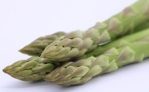 【令和8年産先行予約】 アスパラガス (春芽) 約1kg (3Lサイズ 約20～30本前後) 《令和8年5月～発送》 『生産者 吉田 太一』 山形南陽産 農家直送 山形県 南陽市 [1526]