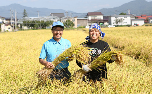 【金賞受賞農家】 特別栽培米 つや姫 5kg 『あおきライスファーム』 山形南陽産 米 白米 精米 ご飯 農家直送 山形県 南陽市 [1546]