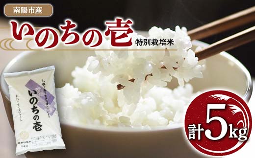 【金賞受賞農家】 令和7年産 特別栽培米 いのちの壱 5kg 『あおきライスファーム』 山形南陽産 米 白米 精米 ご飯 農家直送 山形県 南陽市 [1548]