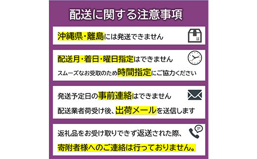 【令和8年産先行予約】 厳選！！大玉ラ・フランス 約3kg (6～8玉 4～6L) 化粧箱入り 《令和8年11月上旬～発送》 『船中農園』 ラフランス 西洋梨 洋なし 果物 フルーツ デザート 山形県 南陽市 [1677]