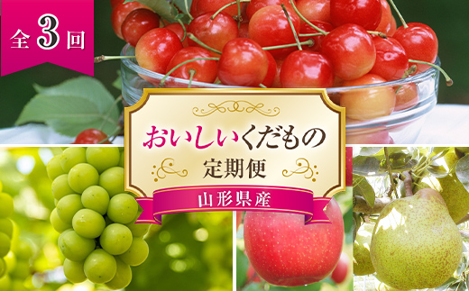 【令和7年産先行予約】 《定期便3回》 おいしいくだもの定期便 『最上屋』 果物 フルーツ 定期便 さくらんぼ ぶどう 梨 りんご 佐藤錦 シャインマスカット ラ・フランス [995-R7]