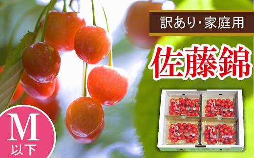 【令和6年産先行予約】 〈訳あり品 家庭用〉 さくらんぼ 「佐藤錦」 約800g (200g×4パック Mサイズ) 《令和6年6月中旬～発送》 『田口農園』 サクランボ 生産農家直送 小分け 果物 フルーツ 山形県 南陽市 [1691]