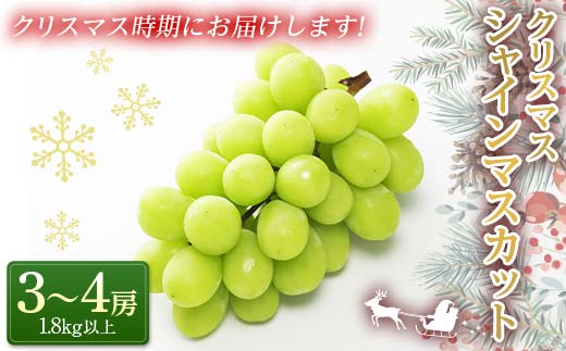 【令和7年産先行予約】 クリスマス シャインマスカット 1.8kg以上 (3～4房 秀) 《令和7年12月19日～発送》 『フナヤマ農園』 山形県 南陽市 [1693]