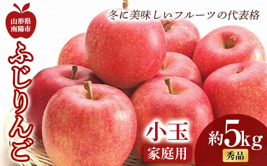 【令和7年産先行予約】〈家庭用〉 小玉 ふじりんご 約5kg (20～25玉 秀) 《令和7年11月中旬～12月下旬発送》 『フードシステムズ』 林檎 リンゴ 果物 フルーツ デザート 山形県 南陽市 [1392-R7]