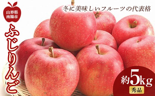 【令和7年産先行予約】 ふじりんご 約5kg (10～18玉 秀)  《令和7年11月中旬～12月下旬発送》 『フードシステムズ』 林檎 リンゴ 果物 フルーツ デザート 山形県 南陽市 [851-R7]