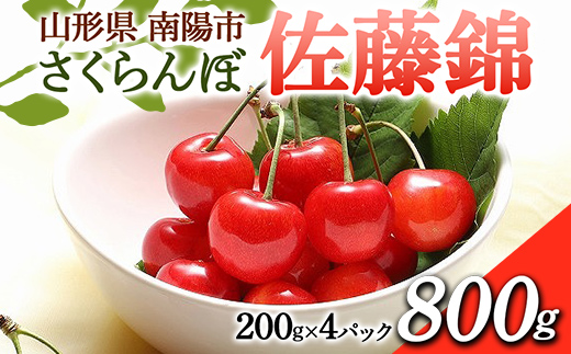 【令和6年産先行予約】 さくらんぼ 「佐藤錦」 800g (200g×4パック) 《令和6年6月中旬～7月中旬発送》 『フードシステムズ』 山形県 南陽市 [1694]