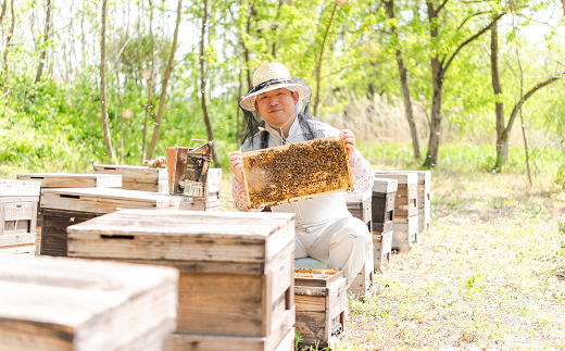 十分一山のはちみつ（約300g×1個）春採れ［ ARCADIA PURE HONEY ］SDGsに取り組むアルカディアはちみつプロジェクト [1727]