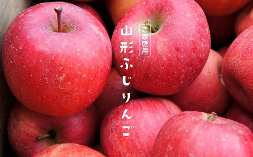 【令和6年産先行予約】 〈家庭用〉 ふじりんご 約10kg (28玉前後入り) 《令和6年12月上旬～発送》 『Yamagataうまいな中村屋』 りんご リンゴ ふじ 山形県 南陽市 [1741]