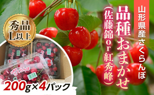 【令和7年産先行予約】 さくらんぼ 「佐藤錦または紅秀峰」 800g (200g×4パック 秀 L以上) 《令和7年6月上旬～発送》 『南陽中央青果市場』 小分け サクランボ 果物 フルーツ 山形県 南陽市 [1476]