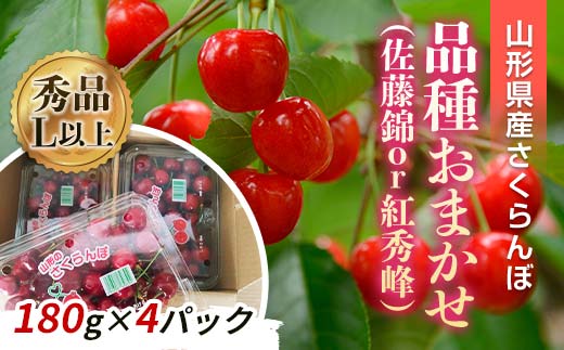 【令和8年産先行予約】 さくらんぼ 「佐藤錦または紅秀峰」 720g (180g×4パック 秀 L以上) 《令和8年6月上旬～発送》 『南陽中央青果市場』 サクランボ 山形県 南陽市 [1476]