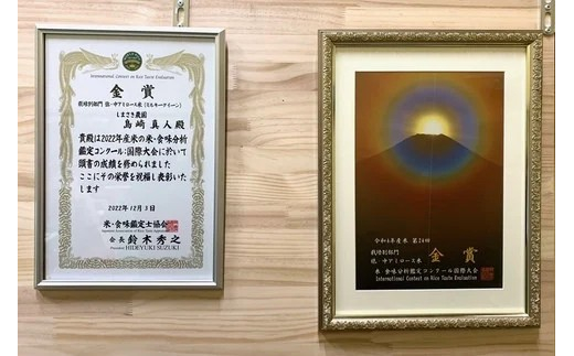 【米食味コンクール金賞受賞農園】 《定期便5回》 令和7年産 特別栽培米 ミルキークイーン 5kg×5か月 (計25kg) 《令和8年3月～7月毎月発送》 『しまさき農園』 [1777]