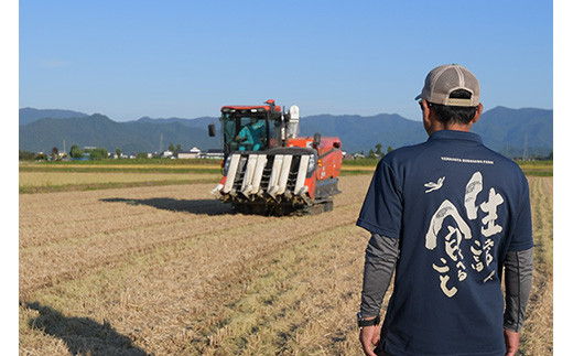 山形県産 特別栽培米 いのちの壱1.5kg×3袋 『(株)黒澤ファーム』 山形県 南陽市 [1782]