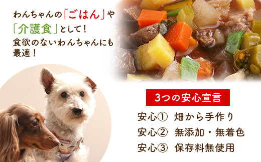 わんこのグルメ 5点セット (レトルト・常温) 『Dog Garage (ドッグガレージ)』 山形県 南陽市 [1825]