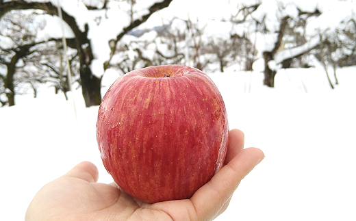 【令和6年産先行予約】 雪んこ 完熟ふじりんご 約5kg バラ詰め 《令和7年1月上旬～発送》 【全国りんご選手権 銀賞】 『船中農園』 りんご リンゴ ふじ ふじりんご 完熟 果物 フルーツ デザート 山形県 南陽市 [1848]