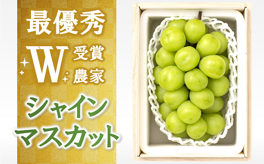 【令和8年産先行予約】 【最優秀賞W受賞農家】 シャインマスカット 700g以上 (1房 特選) 《令和8年9月中旬～発送》『生産者 佐藤 大輔』 [1031]