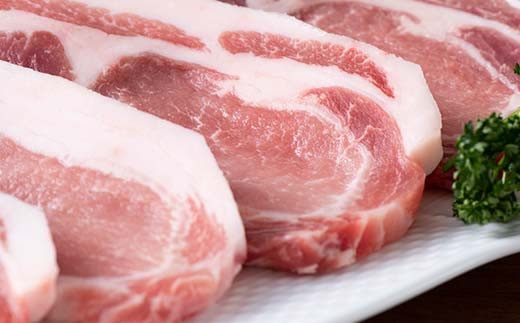 米澤豚一番育ち ロース とんかつ用 700g (100g×7枚) ブランド豚 豚肉 米沢 米沢豚 山形県 南陽市 [1856]