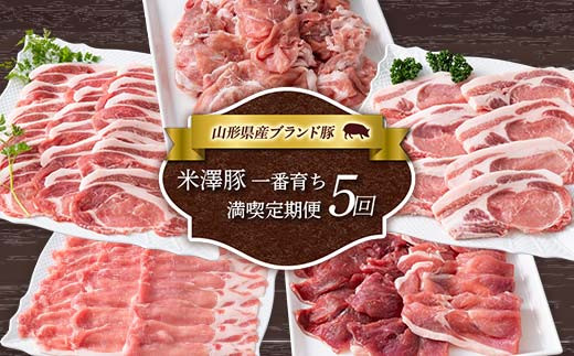 《定期便5回》 米澤豚一番育ち 満喫定期便 5回 ブランド豚 豚肉 米沢 米沢豚 山形県 南陽市 [1859]