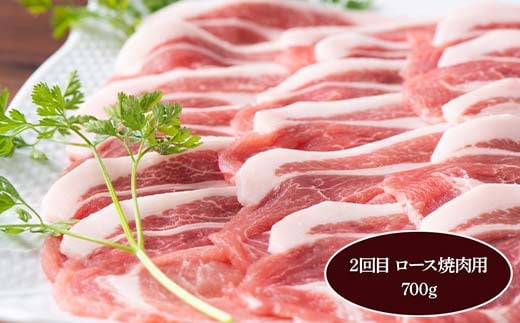 《定期便5回》 米澤豚一番育ち 満喫定期便 5回 ブランド豚 豚肉 米沢 米沢豚 山形県 南陽市 [1859]