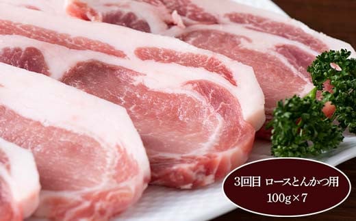 米澤豚一番育ち 満喫定期便 全5回 ブランド豚 豚肉 米沢 米沢豚 山形県 南陽市 1859