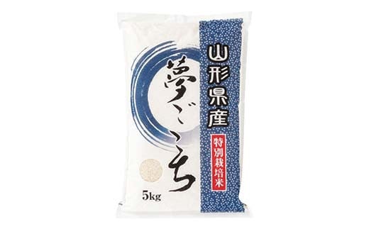 山形県産 特別栽培米 夢ごこち 5kg×2 1868