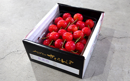 【令和8年産先行予約】 《定期便2回》 さくらんぼ食べ比べ定期便 「佐藤錦・紅秀峰」 各500g (秀品) 『マルエ青果』 果物 くだもの フルーツ 山形県 南陽市 [1888]