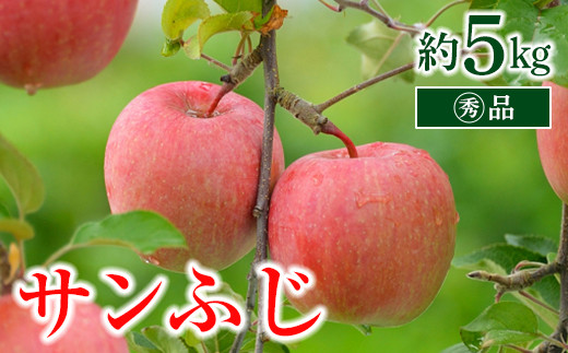 【令和6年産先行予約】 〈家庭用〉 りんご 「サンふじ」 約5kg (13～18玉 マル秀) パック詰 《令和6年11月中旬～12月上旬発送》 『マルタニ農園』 リンゴ 山形県 南陽市 [1281]