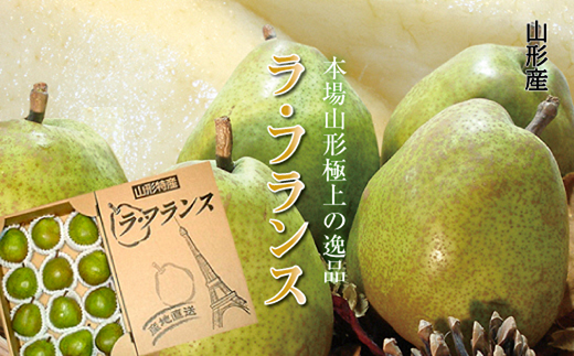 洋梨 ラ・フランス 約3kg (8～12玉 L～2Lサイズ) 《令和5年12月～発送》 『Yamagataうまいな中村屋』 山形県 南陽市 [1743]