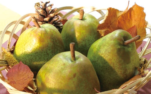 【令和7年産先行予約】 ラ・フランス ＆ ふじりんご MIX 約3kg (各6玉 秀) 《令和7年11月下旬～発送》 『Yamagataうまいな中村屋』リンゴ 洋梨 梨 山形県 南陽市 [1744]